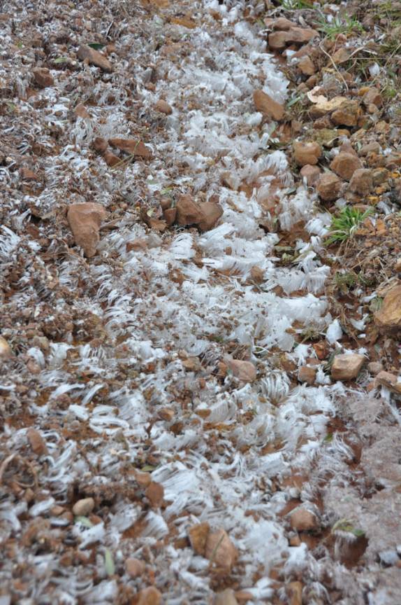 Gelo deixado pela forte geada em Cambará do Sul - RS